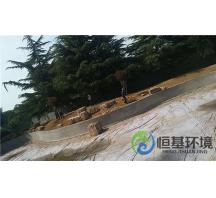 迎賓館濕地工程—景觀(guān)樹(shù)種植