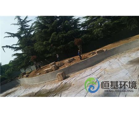 迎賓館濕地工程—景觀(guān)樹(shù)種植