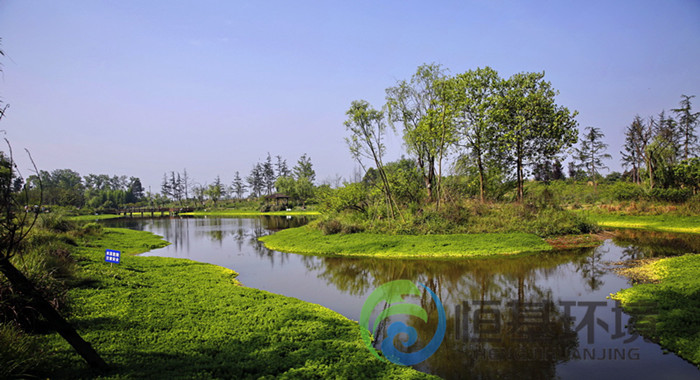 洛陽(yáng)人工濕地凈化系統