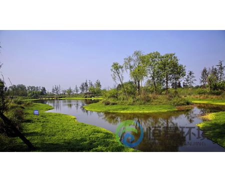 洛陽(yáng)人工濕地凈化系統